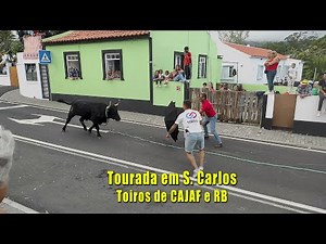 BULLFIGHT in S. CARLOS 10/3/2025 (Bulls from CAJAF and RB) Terceira Island Azores