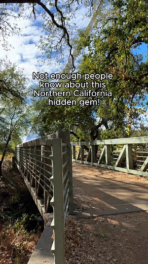 2.6K views · 13 shares | Explore 300 acres of natural wonders at Turtle Bay Exploration Park. This unique cultural center in Redding is a wild mix of hiking trails, animal encounters, botanical gardens, a museum, playgrounds, and more. 嶺 While wandering, don’t miss walking across the Sundial Bridge—the world’s largest working sundial! ☀️ Plan your perfect day in Redding: https://bit.ly/3G6j8ud | Visit California | Facebook