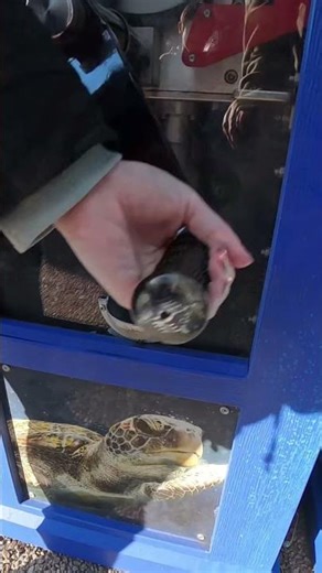 This $1 penny press at SeaWorld is surprisingly cool #lordk #satisfying #souvenir #flordia #seaworld