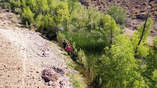 The battle over water in the Mojave Desert (Part 2)