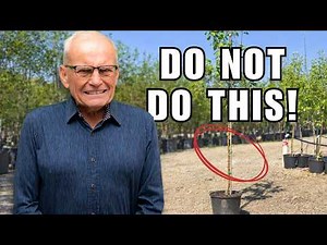 Only 2% of Gardeners Know This...