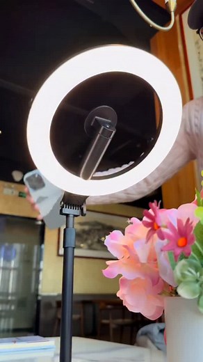 Perfect for outdoor shoots: front and rear fill light with no need for a power outlet. #filllight #livestreaminglight #beautylight #outdoorfilllight | Techno Waqar | Facebook