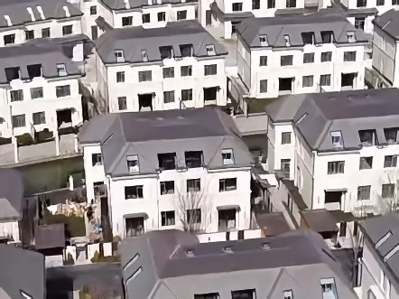 兰香湖贰号 闵行的"奢侈品贴牌现场"把郊区联排卖出爱马仕价？开发商这波操作堪称房产界'高仿A货#兰香湖#兰香湖二号#上海买房#买房避坑#江景大平层#大平层