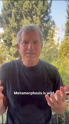 Basic Books on Instagram: "Oren Harman, author of “Metamorphosis: A Natural and Human History,” talks about the meaning of these mysterious transformations. #science #philosophy #biology #ecology #metamorphosis"