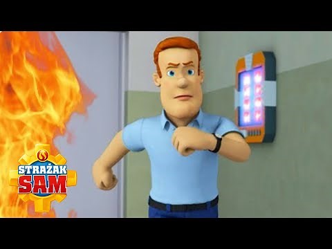 Strażak Sam bajki po polsku | Festyn W Pontypandy | Bajki dla dzieci