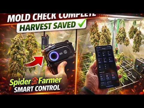 MOLD CHECK COMPLETEHARVEST SAVED?