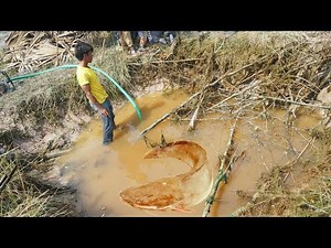 Family Fishing Trip: Catching Fish with Kids