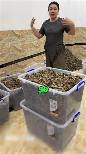 Why This Infected Tree Is Worth Millions