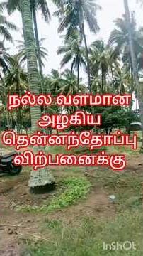 Coconut Farm for Sale GK Housing Properties #farm #gkhousing