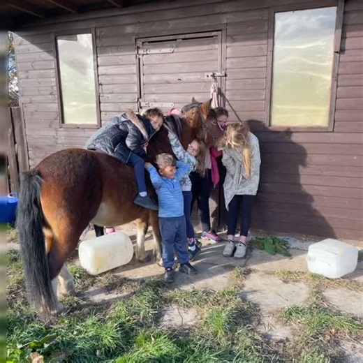 22 reactions | My vid young #blenks | Richard William Short | Facebook