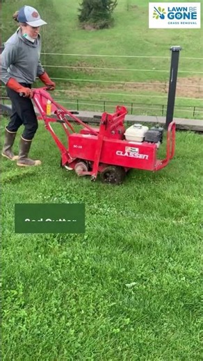 Lawn Be Gone - Method 2