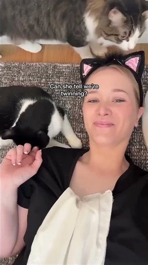 I twinned with my tuxedo cat and she had no reaction