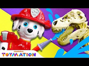 PAW Patrol Pups Save A T-Rex Dino Tooth! | Toymation