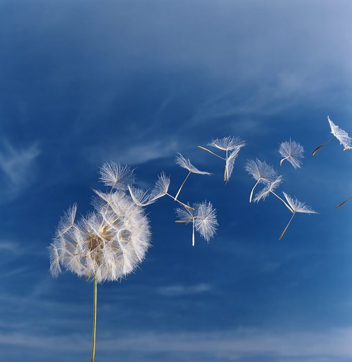 Touching Quotes to Remember Your Mom This Mother's Day