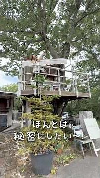 神戸から50分🚙秘密にしたい湖畔のツリーハウスカフェ🌲🍝大人も大はしゃぎのボートも！🚣‍♂️🤍