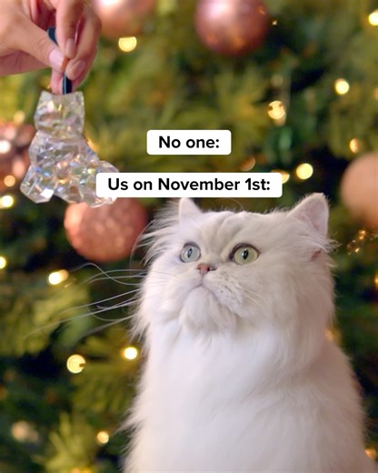 Let the Feastivities begin... 💖 The 2025 Feastivities Ornament is coming to the myPurina app on November 6th! Download and sign up in advance to be one of the first to claim yours. | Purina Fancy Feast
