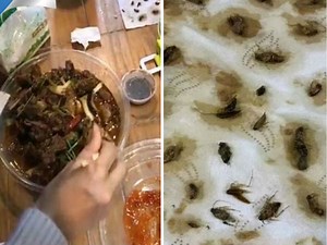 Woman finds 40 dead cockroaches in her home-delivery food, video goes viral