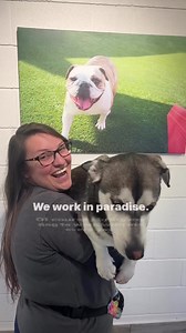 1.2K views · 18 reactions | We work at Pet Paradise...what EXACTLY did you expect? ☀️ : Pet Paradise Birmingham - Birmingham, AL | Pet Paradise | Facebook