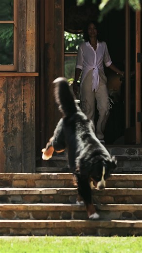 15 reactions | Introducting the new Halo Collar 5 GPS dog fence with 20 GPS location updates every second for unmatched accuracy and constant safety. | Halo Collar | Facebook