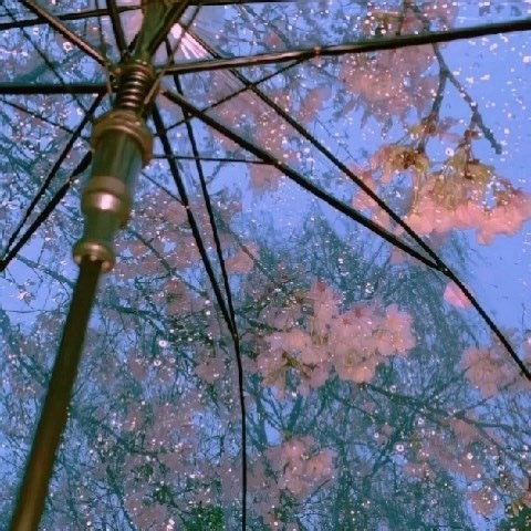 【Trumona】期末 四级 超忆症
