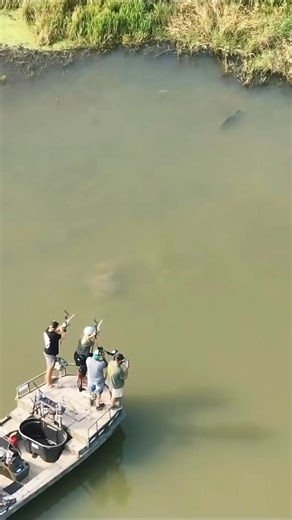 What a shot 🤯 • Reposted from @sydnie_wells Right in the noggin! 🏹 @probassjp with the 🔥 drone shot #bowfish #fish #fishing🎣 #bowfishing bowfishingzone #baa | Bowfishingzone