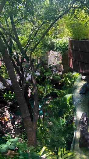 Get ready to be amazed at the Dallas World Aquarium! 🐠🌿 Discover a world of underwater wonders and tropical vibes. #DallasWorldAquarium #SummerAdventure #ExploreMore | The Dallas World Aquarium