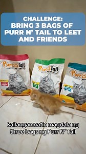 For today’s video gagawa tayo ng Purr N' Tail challenge! Kelangan natin mag deliver ng Purr N' Tail cat food kila Leet sa probinsya bago sila mag almusal! Umabot kaya tayo? #Leet #presidentleet #purrntail | President Leet