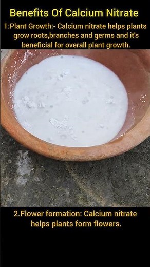 How to make calcium Nitrate and Benefits of Calcium Nitrate in plants