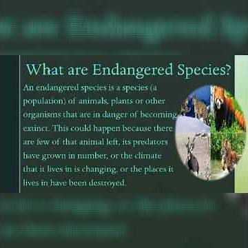 Endangered Species | Its importance | Save endangered species
