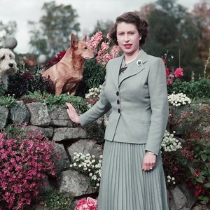 137K views · 2.3K reactions | The story of HM Queen Elizabeth II's...