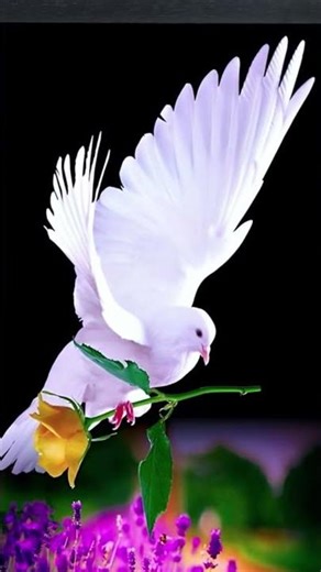 ❤️‍🔥❤️‍🩹💯