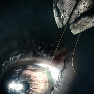 27K views · 255 reactions | Surrender your nature – THE DEVIL’S LIGHT is in theaters on January 8, 2021. | Lionsgate | Facebook