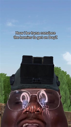 Convincing Friends to Join DayZ Gaming