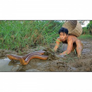 1M views · 10K reactions | Dig the Mud for Cacth eels , cooking eels | Quant-Amber TH | Facebook