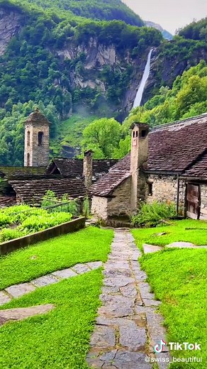 Marco Marques on TikTok