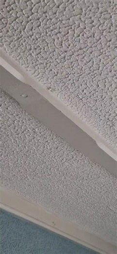 Leak through Dining room ceiling 2