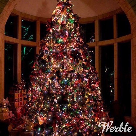 3.7K views · 394 reactions | Rockin Around the Christmas Tree on Reels | Facebook