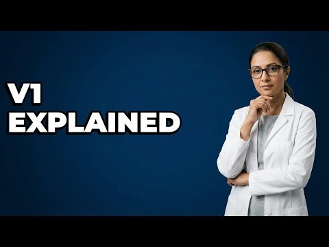 What Are The Components Of The Primary Visual Cortex?