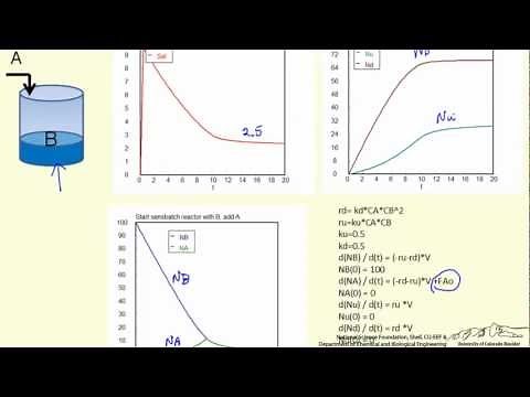 Selectivity in a Semibatch Reactor