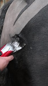 2.4K views · 13 reactions | Have you clipped with a Black Beauty? ❤️...