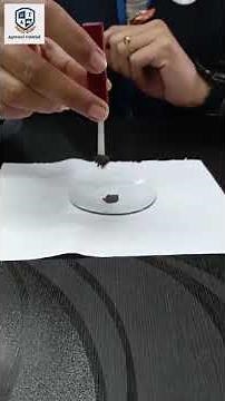 Discover the Magic of Magnets: A Step-by-Step Guide to Induced Magnetism