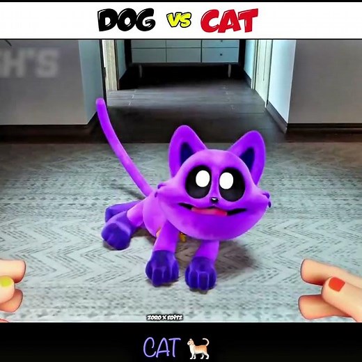 DOG vs CAT 💀| Poppyplaytime chapter 6 edit #poppyplaytime #huggywuggy #shorts
