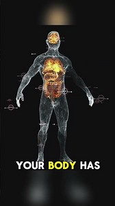 Why You Can't Lose Belly Fat After 60 The Real Sc #seniorhealth #over60health #antiaging