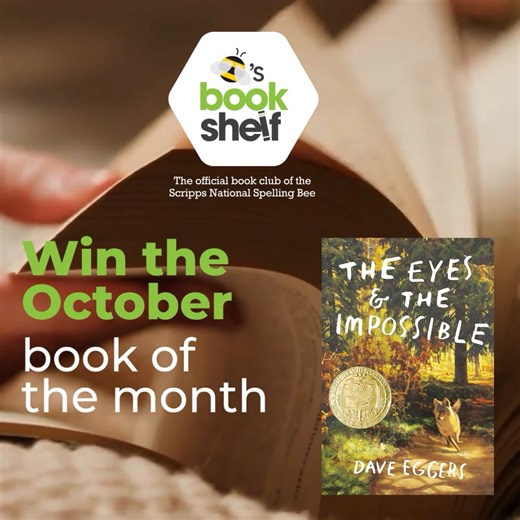 12K views · 29 reactions | Our Bee’s Bookshelf Book of the Month for...