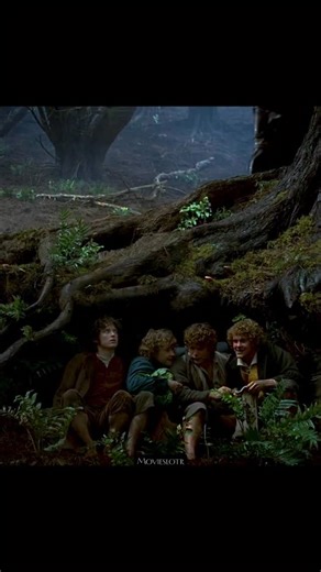 Lord of the Rings movies on Instagram: "Frodo’s eyes fell on a large tree by the roadside. Its roots protruded, creating a small hollow beneath it. Frodo: “There! Quick!” All four of them threw themselves under the tree. The ground was damp. Leaves clung to them. Sam immediately stepped in front of Frodo, as if to protect him with his body. The sound of the Nazgûl was drawing near. Then… It stopped right beside them. The horse neighed. The Hobbits’ blood froze. They held their breath in the holl
