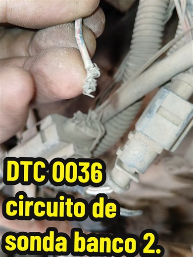 Luz de injeção eletrônica e Multifunção acesa? Como resolver? Código de erro P0036. #VemPraMarcosCar #InjeçãoEletronica #deusnocontrole #logan #luzmultifunção #sandero
