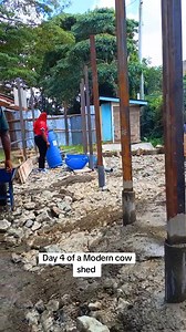 77K views · 700 reactions | We construct and renovate Modern cow sheds Quatation across Kenya and within East Africa +254798187466/0798187466 | Martha Njambi dairy farm | Facebook