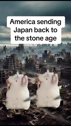 97K views · 1.5K reactions | The Cold War | Simplified By Cats #fyp #history #cats #original | Simply Stated History | Facebook