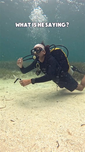 208K views · 617 reactions | "What did he say?" Understanding...