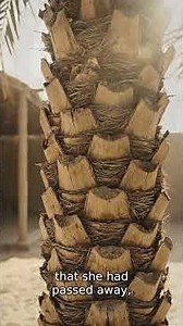 Your Support Keeps MCC Going Strong & Keep Our East Bay Muslim Community Vibrant